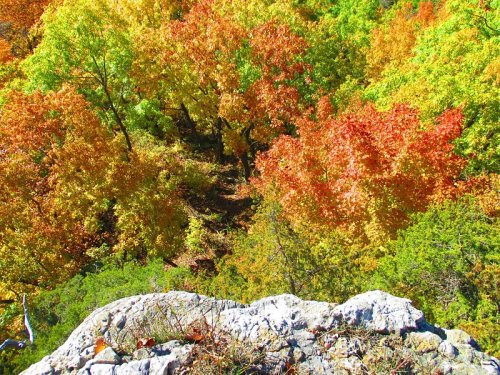 A vibrant autumn landscape with trees in shades of green, orange, and red, viewed from a rocky ledge.