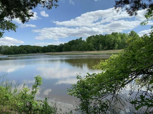 A serene lake surrounded by lush greenery and trees, reflecting clouds in the calm water under a blue sky.