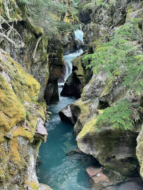 A serene river flows through moss-covered rocks in a lush, green canyon.