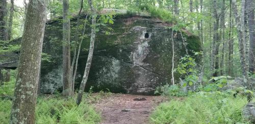 A large moss-covered rock surrounded by trees and ferns in a forested area.