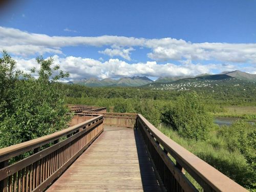 A wooden boardwalk leads through lush greenery, with mountains and blue skies in the background.
