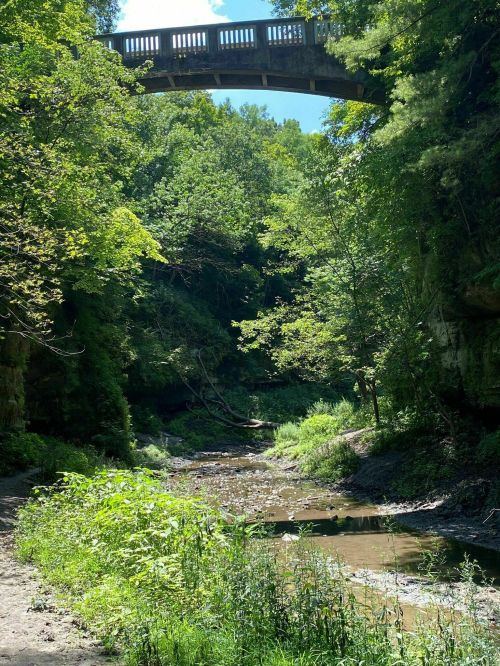 A serene landscape featuring a creek surrounded by lush greenery and a stone bridge overhead.