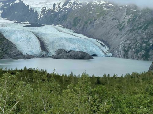 A scenic view of a glacier flowing into a lake, surrounded by mountains and greenery.
