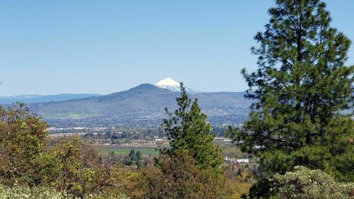 A scenic view of a snow-capped mountain in the distance, framed by green trees and a clear blue sky.