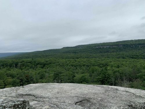A panoramic view of a lush green forest under a cloudy sky, seen from a rocky outcrop.