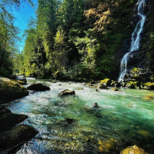 A serene river flows through a lush forest, with a waterfall cascading in the background under a clear blue sky.