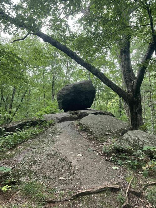 A large boulder balanced on a rocky surface, surrounded by lush green trees in a forested area.