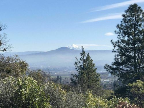 A distant snow-capped mountain rises above a misty valley, framed by green trees under a clear blue sky.