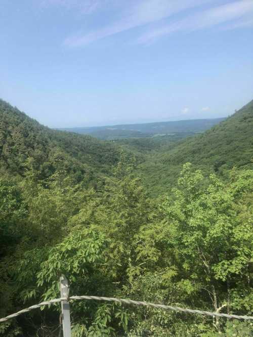 A scenic view of lush green mountains and valleys under a clear blue sky.