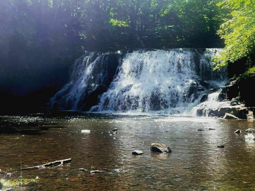 A serene waterfall cascades over rocks into a calm pool, surrounded by lush green trees and sunlight filtering through.