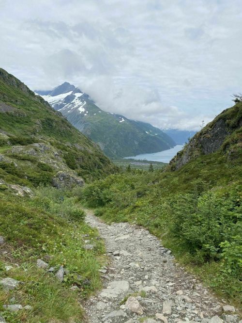 A rocky path winds through lush greenery, leading to a lake and mountains under a cloudy sky.