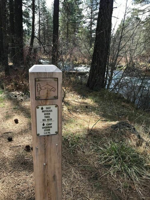 Trail sign for East Metolius River Trail, with directions to camp and nearby river in a forested area.