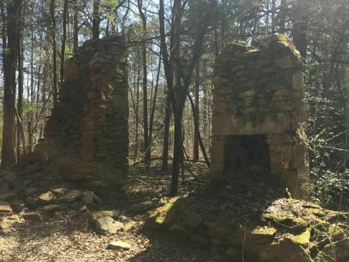 Ruins of two stone chimneys surrounded by trees in a forested area, with moss and fallen leaves on the ground.