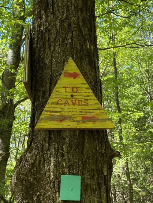 A yellow triangular sign on a tree reads "TO CAVES," with arrows pointing in the direction of the caves.