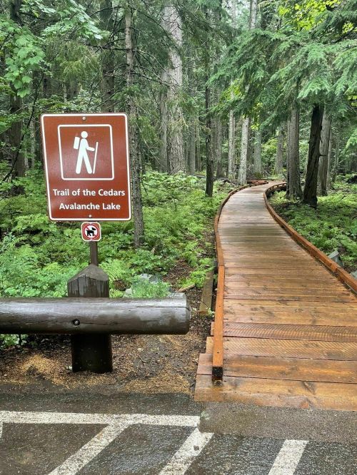 A wooden path leads through a lush forest, with a sign for the Trail of the Cedars and Avalanche Lake.