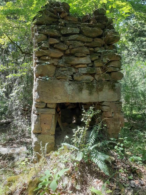 A weathered stone chimney surrounded by lush greenery in a forested area.
