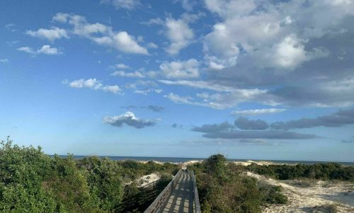 A person walks along a wooden boardwalk through greenery, with a beach and blue sky in the background.