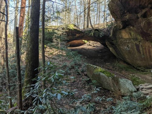 A forest scene featuring a large rock formation and a path surrounded by trees and greenery.