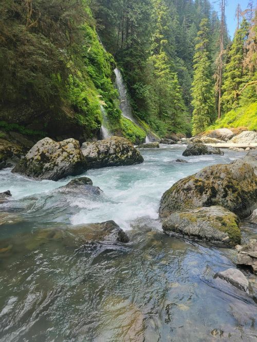 A serene river flows through a lush green forest, with a small waterfall cascading over rocks.