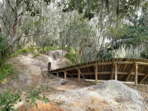 A wooden bridge over a dirt path surrounded by lush greenery and hanging moss in a tranquil outdoor setting.