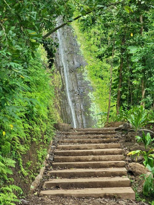 A stone staircase leads through lush greenery to a cascading waterfall in a tropical forest.