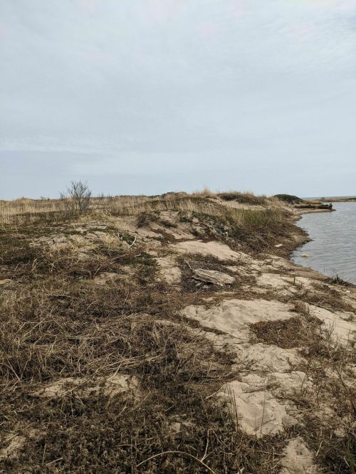 A rocky shoreline with sparse vegetation under a cloudy sky, leading to calm water in the distance.