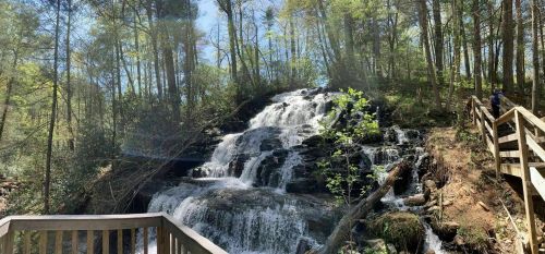A serene waterfall cascades down rocks, surrounded by lush greenery and trees, with a wooden walkway in the foreground.