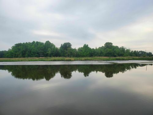 A calm river reflects lush green trees and a cloudy sky, creating a serene natural landscape.
