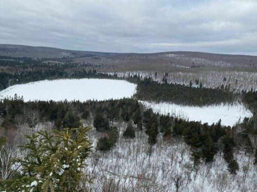 A snowy landscape featuring a frozen lake surrounded by evergreen trees and rolling hills under a cloudy sky.