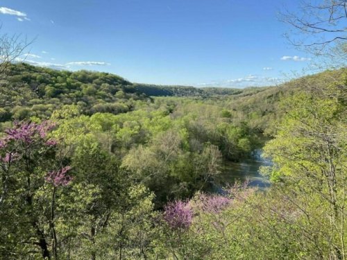 Lush green landscape with rolling hills and a winding river under a clear blue sky, dotted with blooming trees.