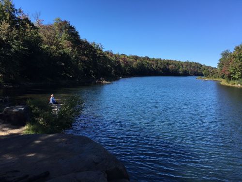 A serene lake surrounded by trees under a clear blue sky, with a person sitting by the water's edge.