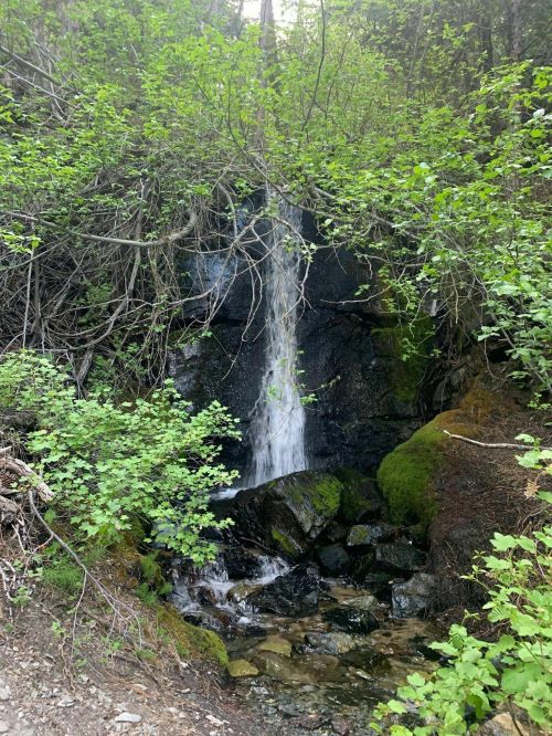A small waterfall cascades over rocks, surrounded by lush green foliage and trees.