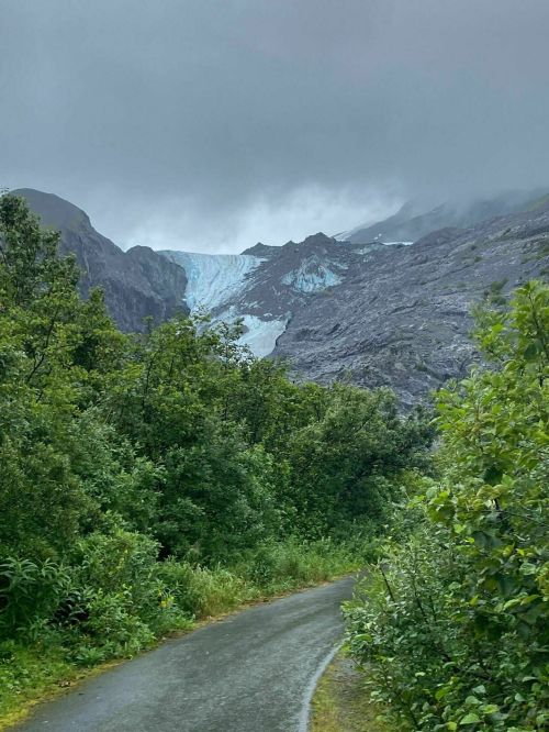 A winding path through lush greenery leads to a glacier in a mountainous landscape under a cloudy sky.
