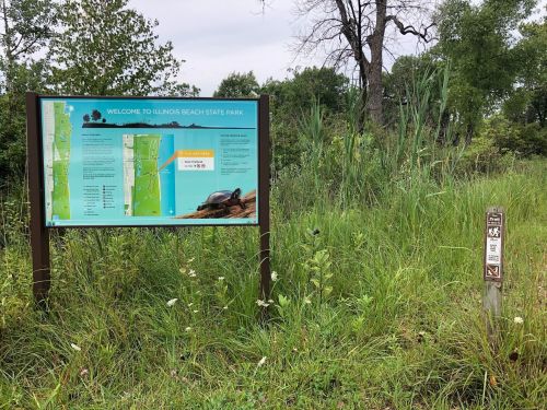 Sign at Illinois Beach State Park with a map and information, surrounded by tall grass and trees.