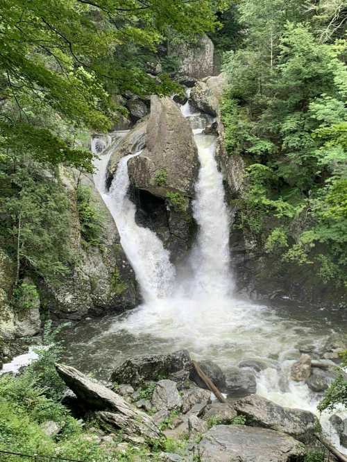 A scenic waterfall cascading over rocks, surrounded by lush green trees and foliage.