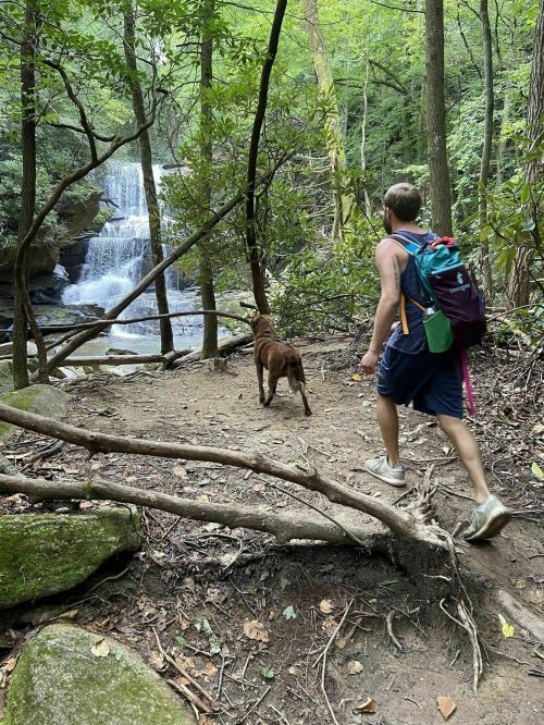 A person walks a dog along a forest trail near a waterfall, surrounded by lush greenery and trees.