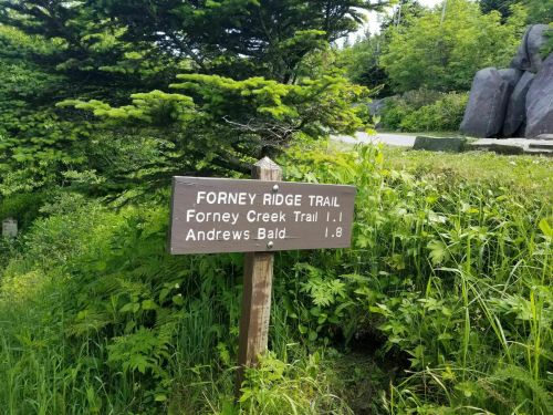 A wooden signpost indicating the Forney Ridge Trail, with distances to Forney Creek Trail and Andrews Bald.