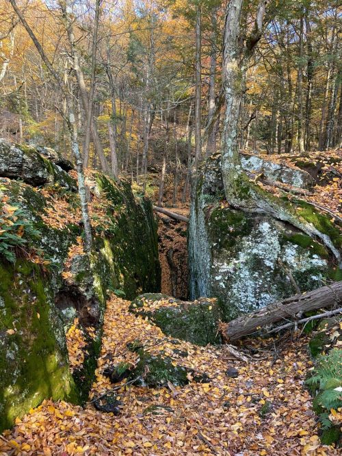 A rocky ravine surrounded by autumn foliage and trees, with fallen leaves covering the ground.