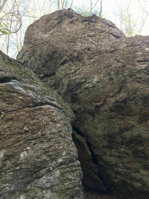 A close-up view of large, textured rocks in a wooded area, with trees visible in the background.