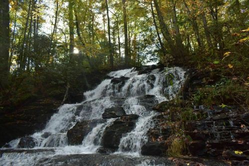 A serene waterfall cascades over rocks, surrounded by lush green trees and autumn foliage. Sunlight filters through the leaves.