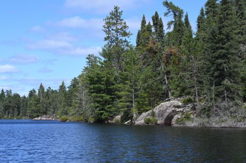 A serene lake surrounded by lush green trees and rocky shores under a clear blue sky.