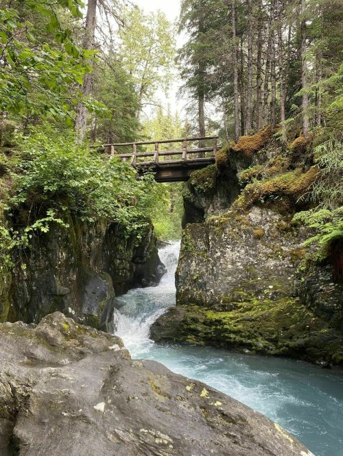 A serene river flows through rocky terrain, with a wooden bridge crossing above, surrounded by lush green trees.