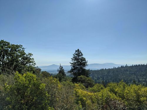 A scenic view of rolling hills and trees under a clear blue sky, with distant mountains visible on the horizon.