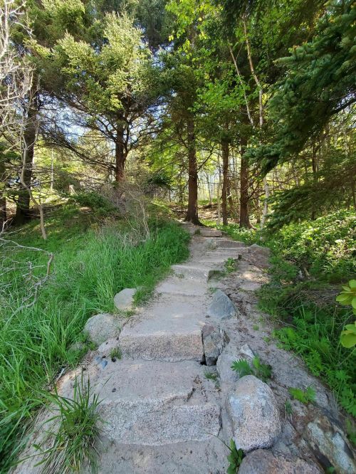 A stone pathway leads through lush greenery and trees in a serene forest setting.