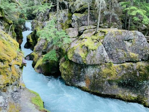 A serene river flows between moss-covered rocks in a lush, green forest.