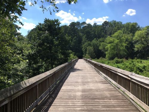 A wooden bridge leads through lush greenery under a bright blue sky with scattered clouds.