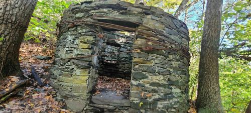 A small, circular stone structure surrounded by trees and fallen leaves, with barbed wire partially visible.