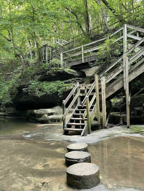 A wooden staircase leads up a rocky area surrounded by lush greenery, with stepping stones across a shallow stream.