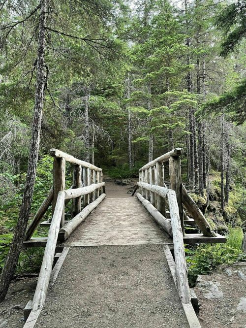 A wooden bridge spans a path through a lush, green forest with tall trees on either side.