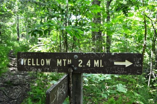 Wooden trail sign pointing left, indicating "Yellow Mtn 2.4 Mi" amidst lush green foliage.